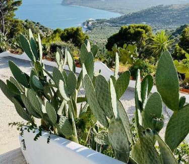 Mattinata House | Casa Molo 13
