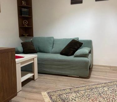 Brasov Villa | Casa Mountain view