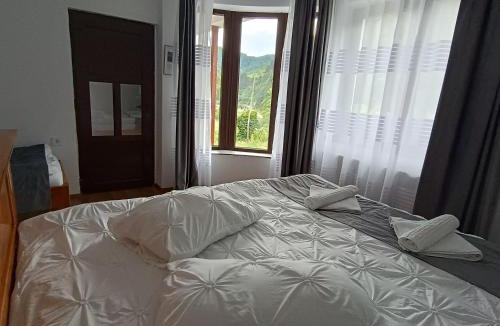 Rau Sadului House | Casa Muntilor Prejba