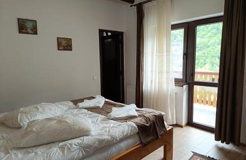 Rau Sadului House | Casa Muntilor Prejba