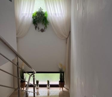 Orlat House | Casa Munty