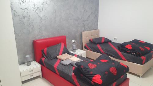 Craiova House | casa nedelcu