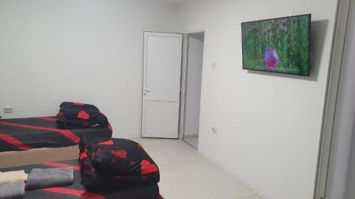 Craiova House | casa nedelcu