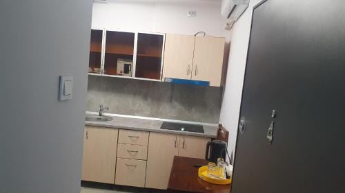 Craiova House | casa nedelcu