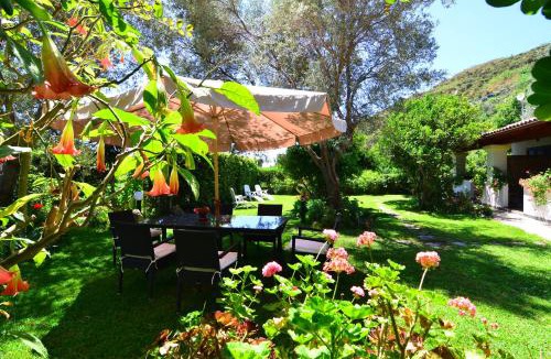 Panza House | Casa nel verde