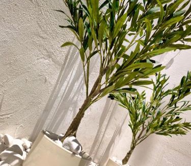 Mucientes House | Casa Nentis