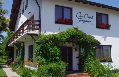 Cartisoara House | Casa Oaspeti Transfagarasan