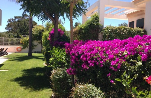 Albardeira Villa | Casa Olivia Rose with private pool in secluded gardens close to beach and marina