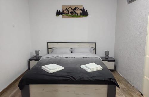 Borsec Apartment | Casa Orhideea