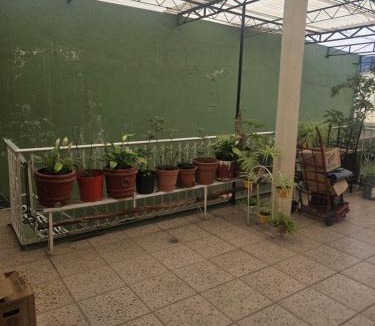 Los Reyes Apartment | Casa oyamel