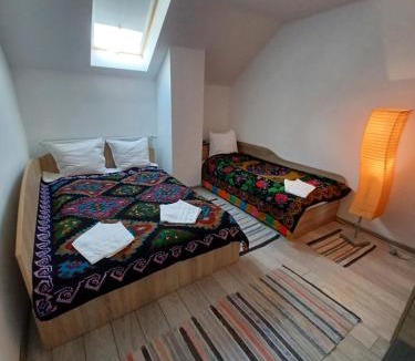 Cartisoara House | Casa Pandrea