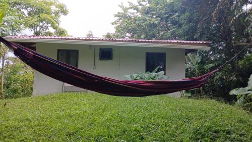 Manzanillo House | Casa Paraíso