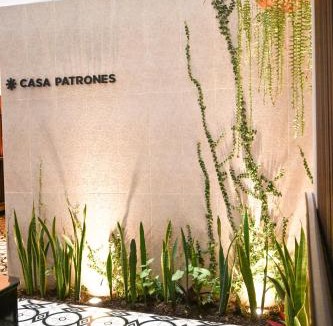 Cercado Chiclayo Hostel | Casa Patrones