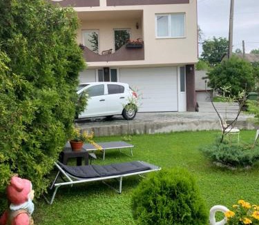 Mogesti House | Casa Paunescu