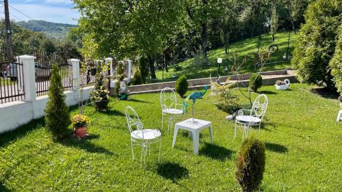 Mogesti House | Casa Paunescu