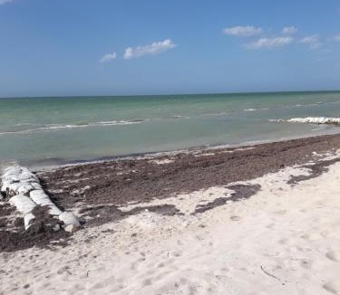 Merida House | Casa Pepe Vacation Rental Progreso