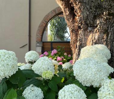 Montecchia di Crosara House | Casa Perazzolo