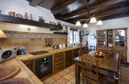 Masdache House | Casa Perdomo, local culture within vines