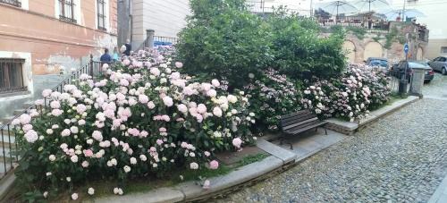 Saluzzo Apartment | Casa Piazzetta