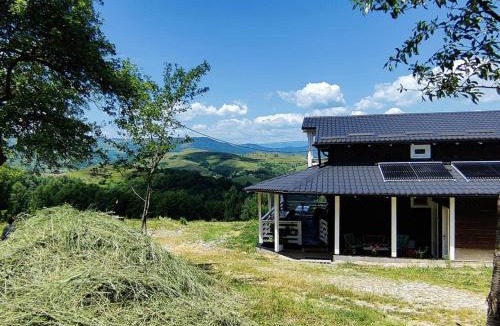 Ponor House | Casa Ponors Eden