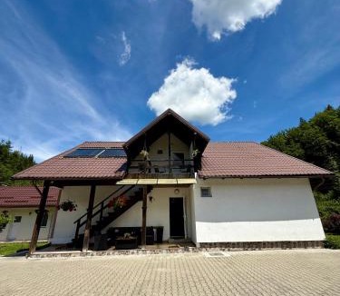 Cartisoara House | Casa Popa’s