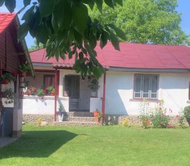Vidra House | Casa Putna