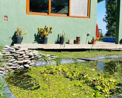 Abasto House | Casa Quinta Koi