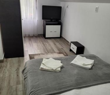 Carlibaba Apartment | Casa Radu