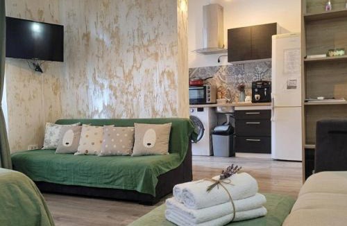 Braila Apartment | Casa Rahova - centru civic