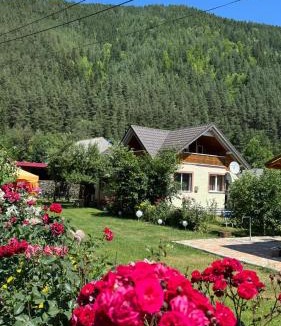 Bicaz-Chei House | Casa Raluca