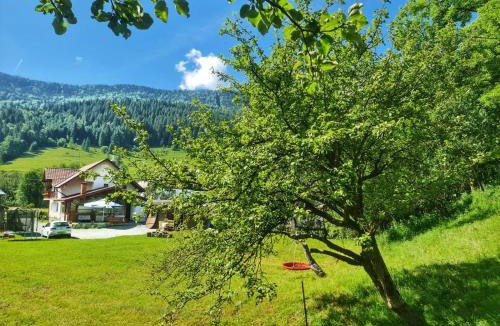 Vidra House | Casa Rares Toc