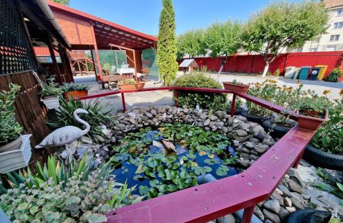 Sovata House | Casa Rica Vendégház