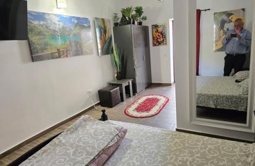 Tulcea House | Casa Rico 2