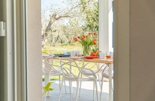 Rosignano Marittimo House | Casa RiVa - Among olive trees and the Tuscan coast