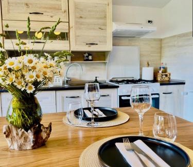 Hangu Ski Chalet | Casa Rogin Chalet