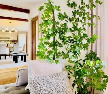 Hangu Ski Chalet | Casa Rogin Chalet