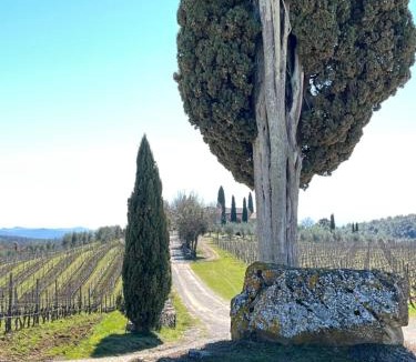 Castelnuovo Berardenga House | Casa Rossella, incantevole casa con piscina in Tenuta storica del Chianti