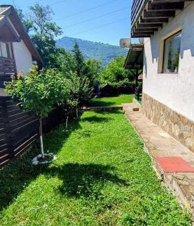 Pangarati Villa | Casa Roxana
