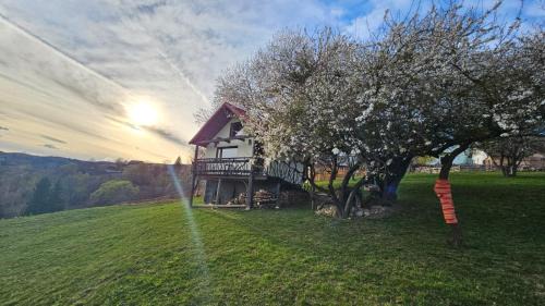 Moieciu de Jos Cabin | Casa rustica