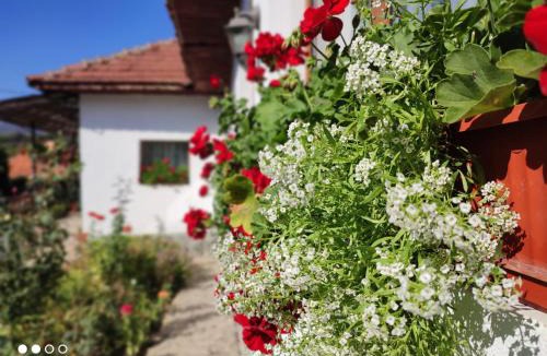 Biltisoara House | CASA RUSTIK