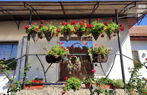 Biltisoara House | CASA RUSTIK