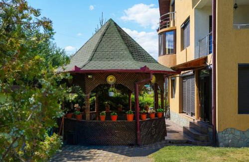 Calimanesti Villa | Casa RUXI