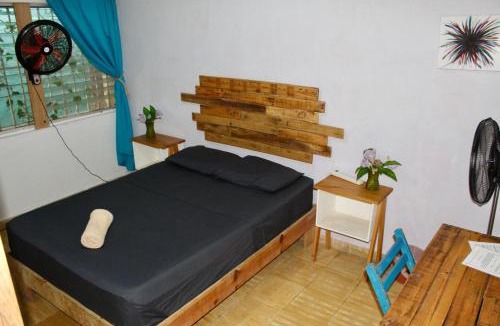 Colonia Adolfo Lopez Mateos Hostel | Casa Samay
