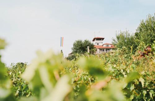 Boldesti-Scaeni House | Casa Seciu