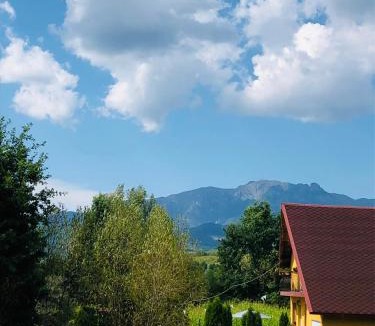 Calimanesti Villa | Casa Sofia