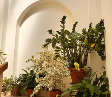 Borzonasca Apartment | Casa Stella