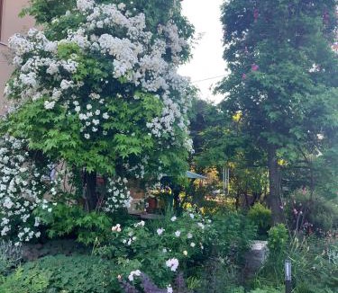 Udine Bed & Breakfast | Casa Stucky