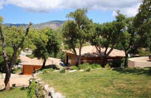 Afa House | casa suara