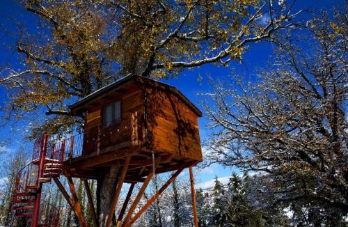 Rogliano House | Casa sull'albero Bocchineri