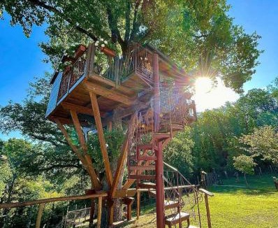 Rogliano House | Casa sull'albero Bocchineri